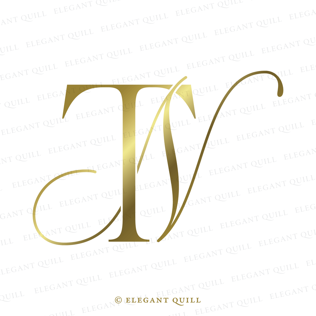 2 letter logo, NT initials