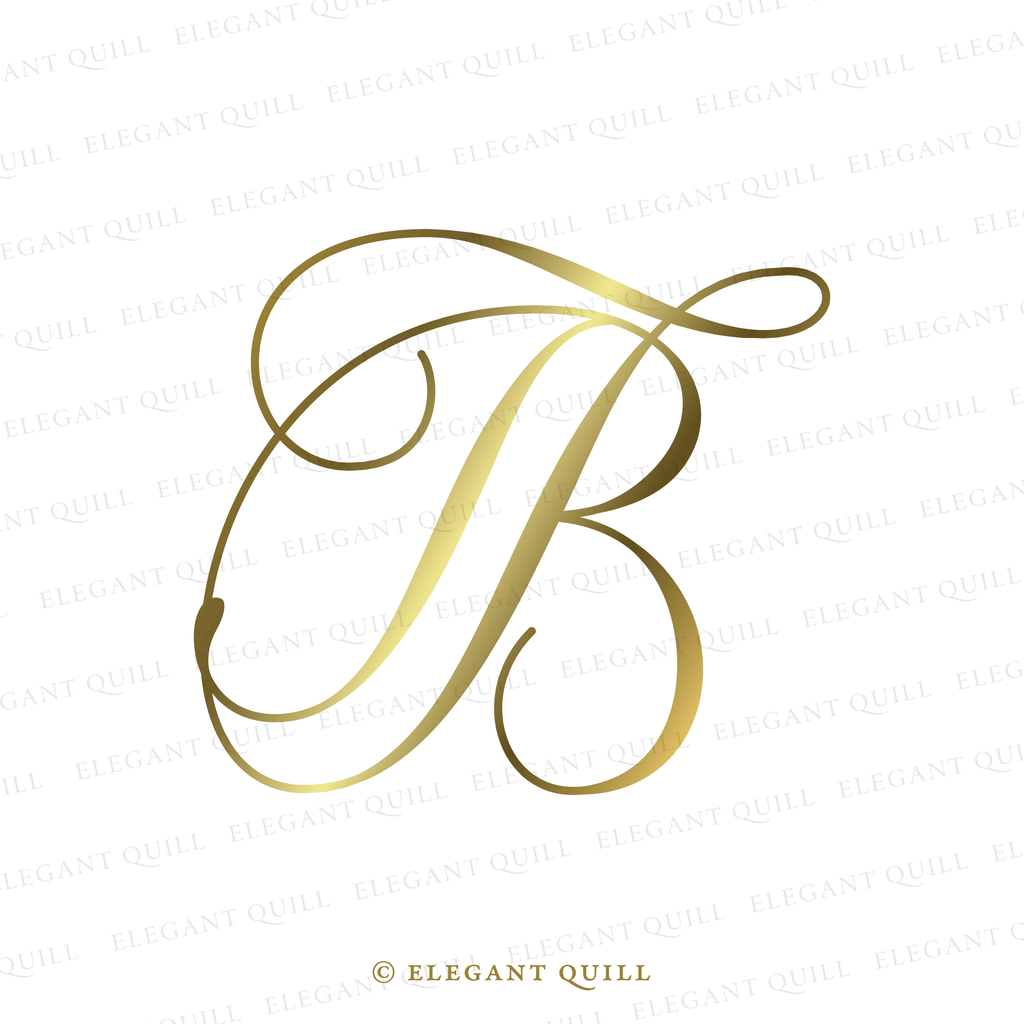 simple logo, BT initials