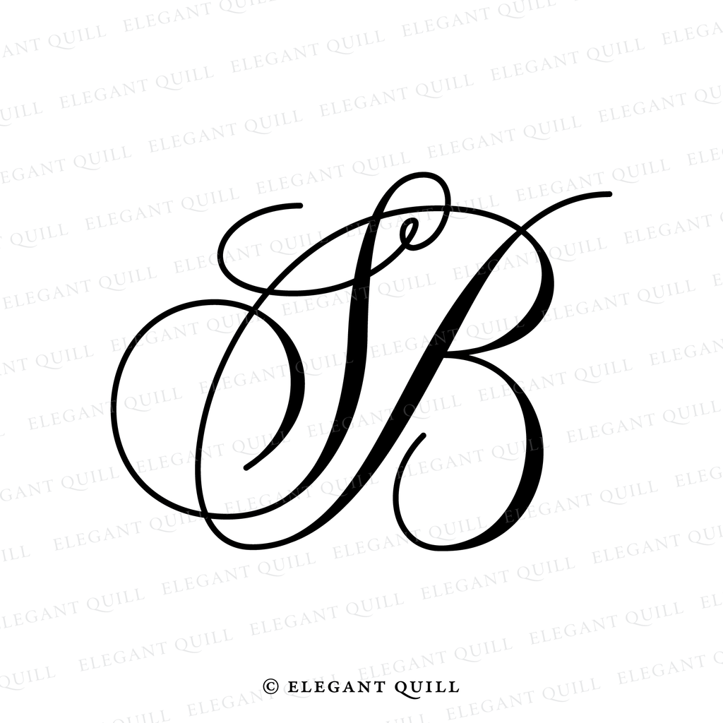 minimalist logo design, BS initials