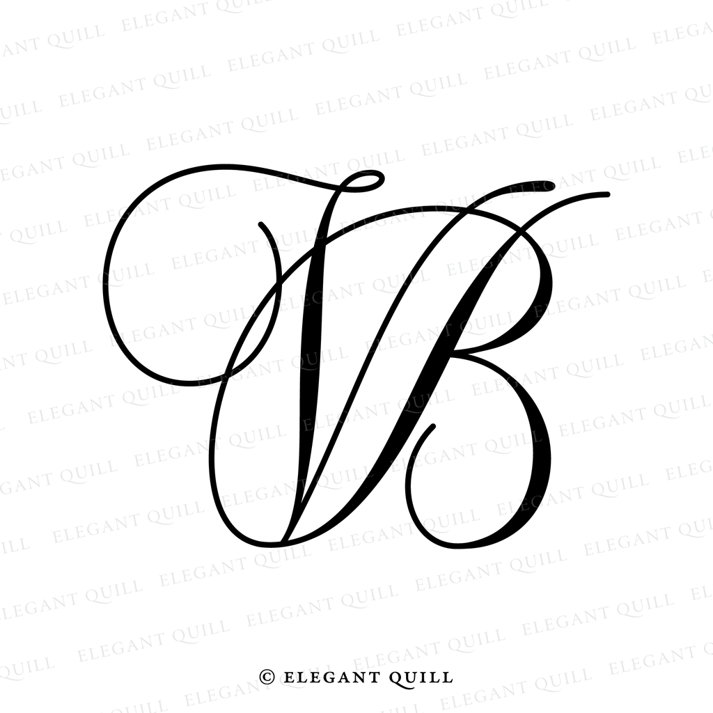 script logo, BV initials