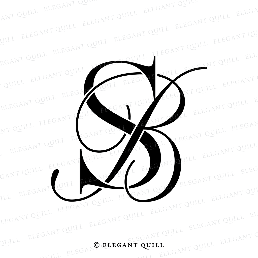 2 letter logo design, BS initials