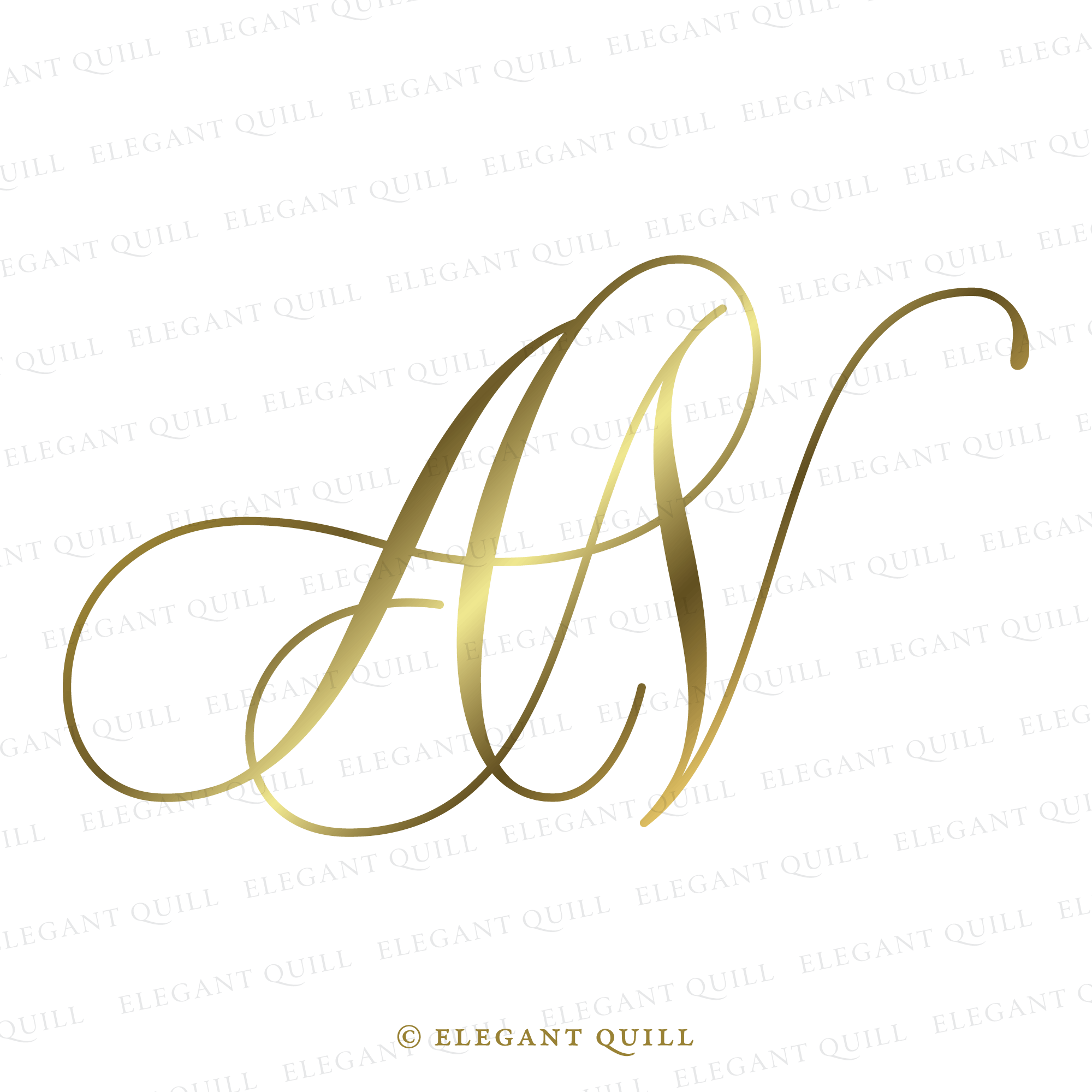 Script Intials Initials Logo Design, AN – Elegant Quill
