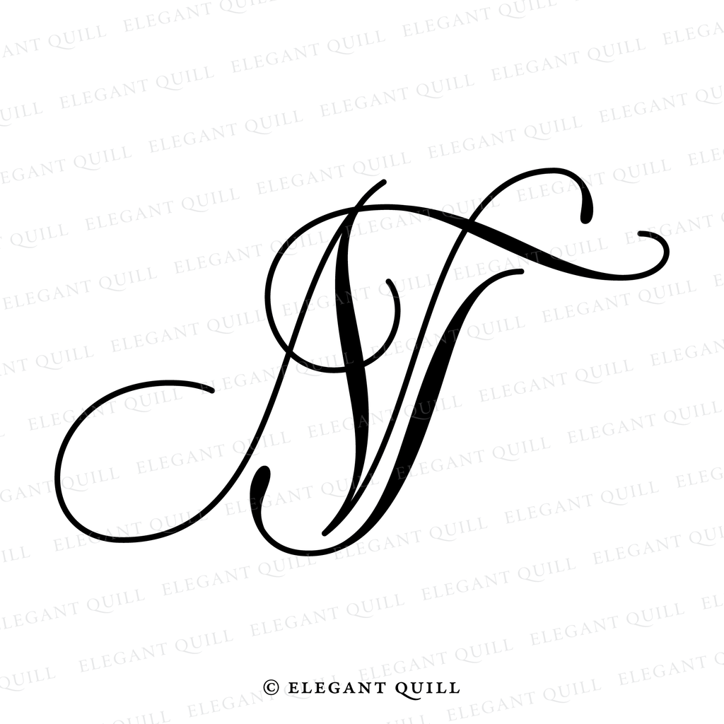 initials logo design, NT