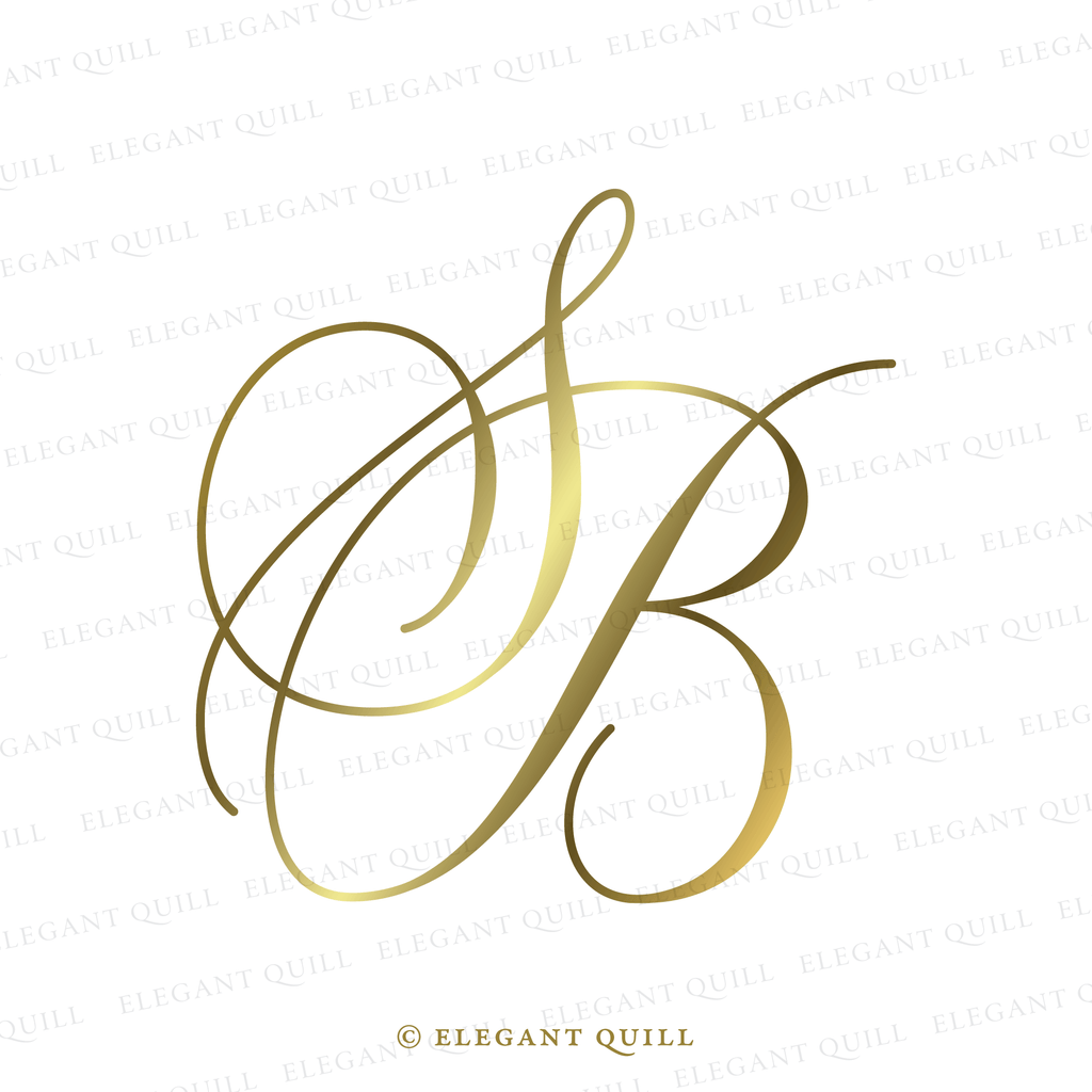 minimalist logo, BS initials