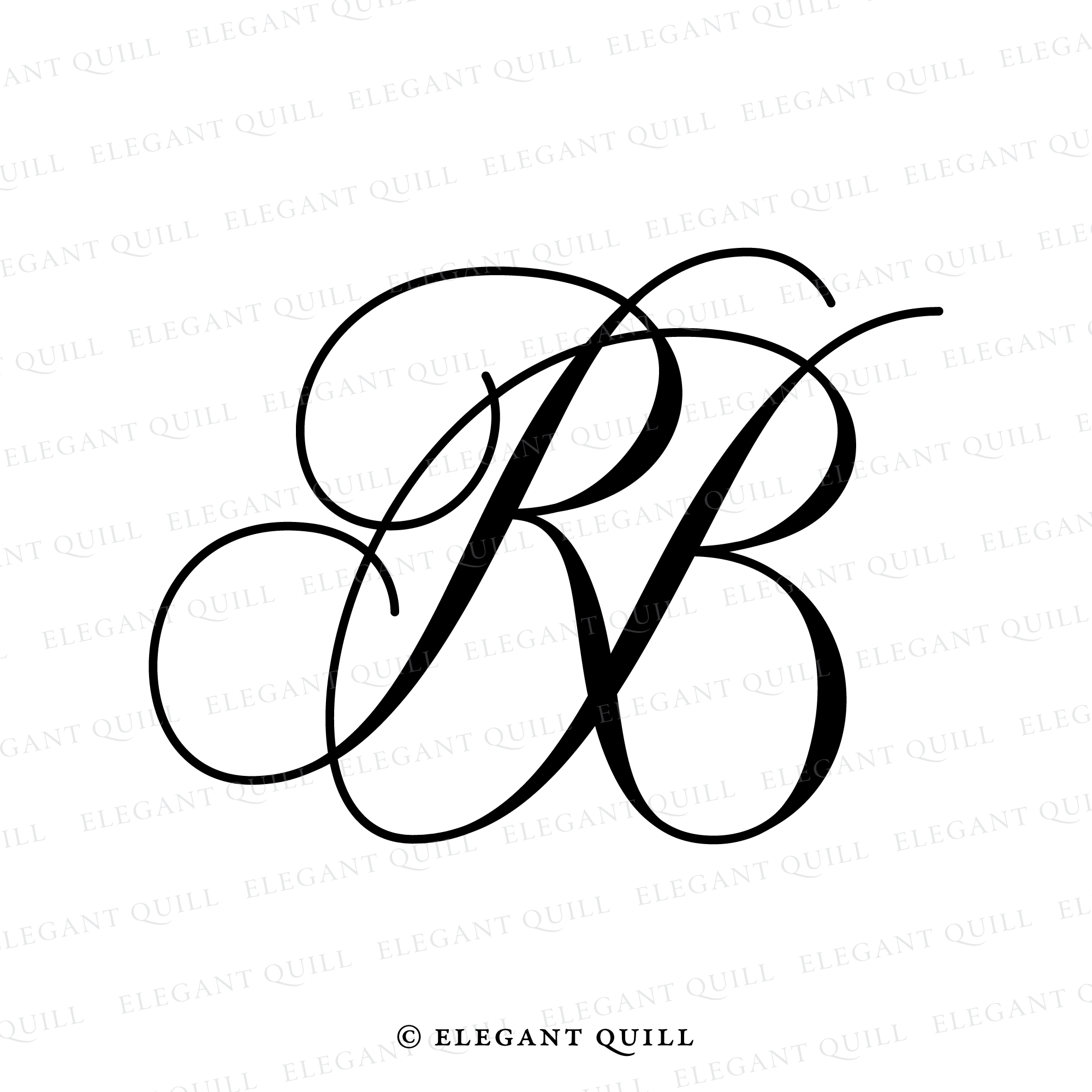 Creative Photography BR Letter Logo Design - TemplateMonster