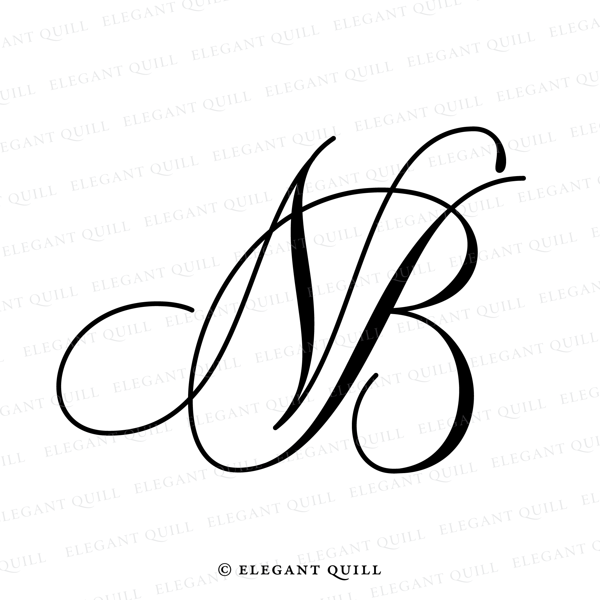 Monogram BN Logo Design By Vectorseller