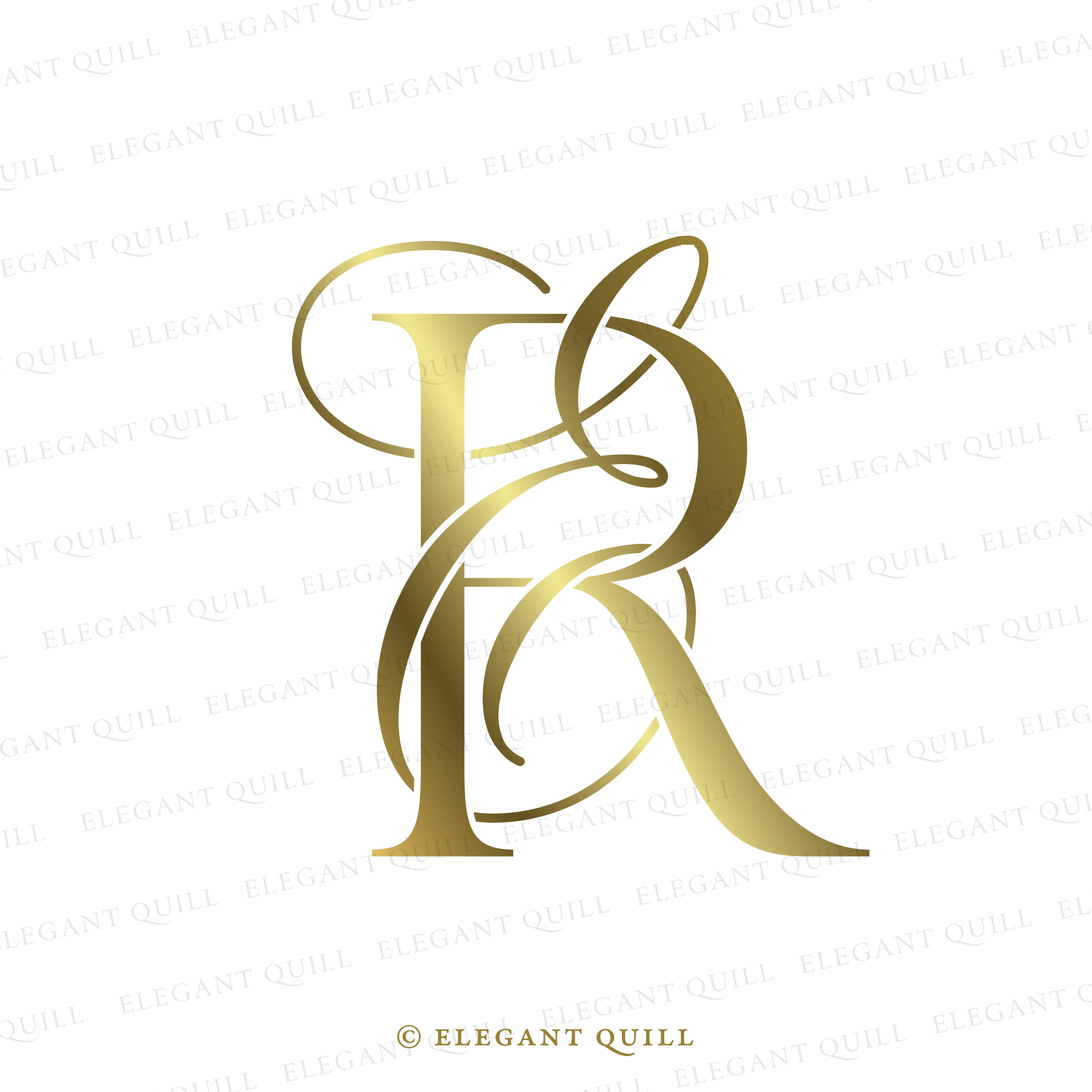 Simple Logo, ER Initials – Elegant Quill